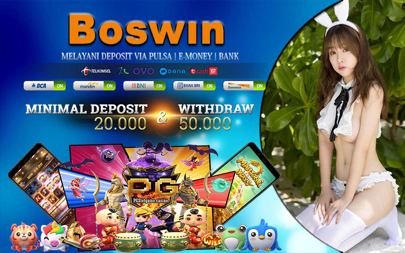 Boswin